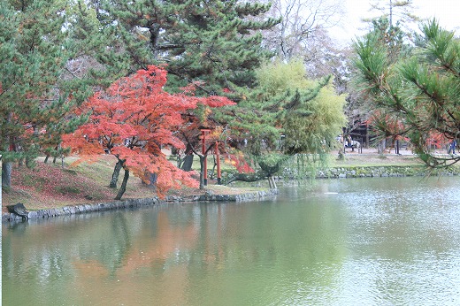 Lago da entrada do templo