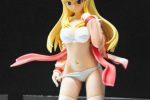 wonfes-2011-winter-ero