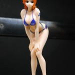 wonfes-2011-winter-ero02