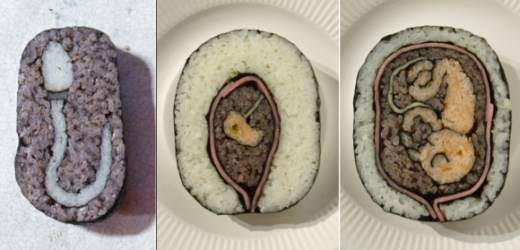 Sushi-art-08